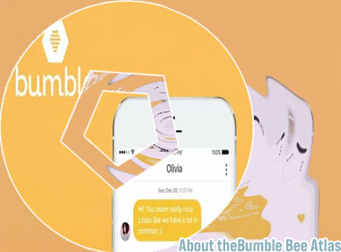 Bumble login online